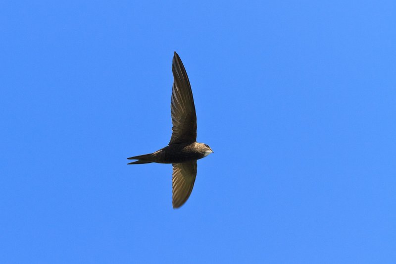 2011-05-24-165010_2.jpg