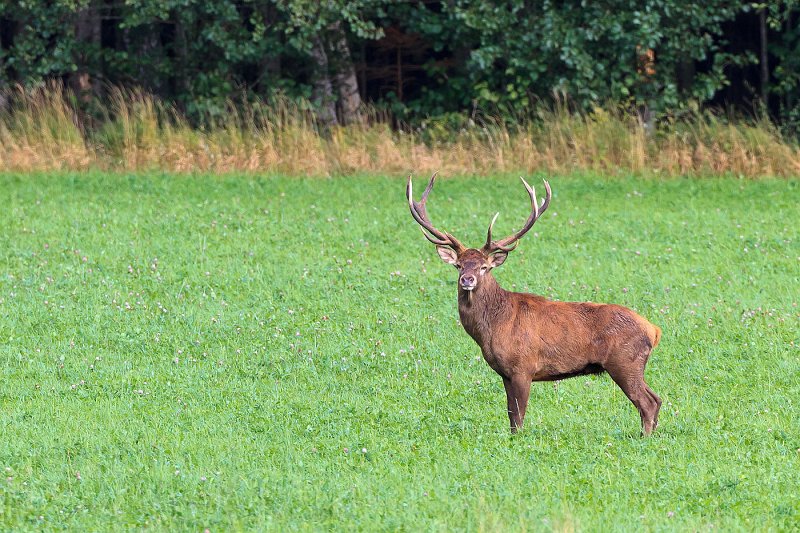 2011-09-15-172050_3.jpg