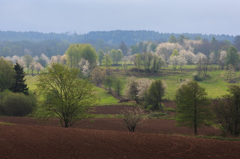 13-05-18-084056.jpg